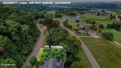 Take advantage of this amazing view and gorgeous sunsets in TN on Tennessee National Golf Club in Tennessee - for sale on GolfHomes.com, golf home, golf lot