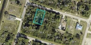 Don't miss out on this investment opportunity in a developing on Mirror Lakes Golf Club in Florida - for sale on GolfHomes.com, golf home, golf lot