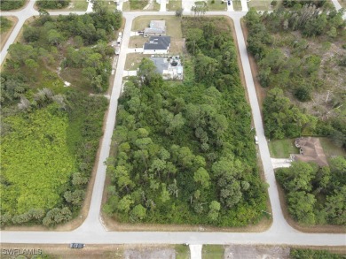 Don't miss out on this investment opportunity in a developing on Mirror Lakes Golf Club in Florida - for sale on GolfHomes.com, golf home, golf lot