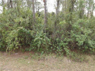 Don't miss out on this investment opportunity in a developing on Mirror Lakes Golf Club in Florida - for sale on GolfHomes.com, golf home, golf lot