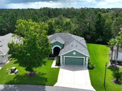 Immaculate 3-Bedroom Home with Private Conservation Views. This on Tampa Bay Golf and Country Club in Florida - for sale on GolfHomes.com, golf home, golf lot