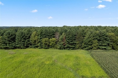 Your dream property awaits on 6 Acres near St. Croix National! on St. Croix National Golf Course in Wisconsin - for sale on GolfHomes.com, golf home, golf lot