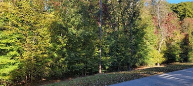 Rare mostly level double lot on Point road is now available for on The Trail At Chickasaw Pointe in South Carolina - for sale on GolfHomes.com, golf home, golf lot