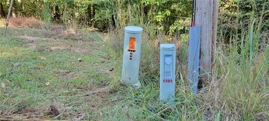 Rare mostly level double lot on Point road is now available for on The Trail At Chickasaw Pointe in South Carolina - for sale on GolfHomes.com, golf home, golf lot