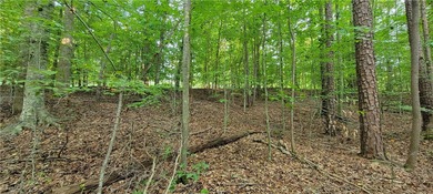 Rare mostly level double lot on Point road is now available for on The Trail At Chickasaw Pointe in South Carolina - for sale on GolfHomes.com, golf home, golf lot