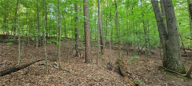 Rare mostly level double lot on Point road is now available for on The Trail At Chickasaw Pointe in South Carolina - for sale on GolfHomes.com, golf home, golf lot