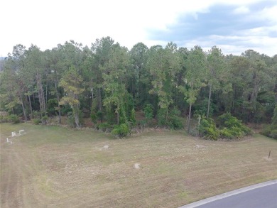 Seize the rare opportunity to build your dream home on one of on Southern Hills Plantation Club in Florida - for sale on GolfHomes.com, golf home, golf lot