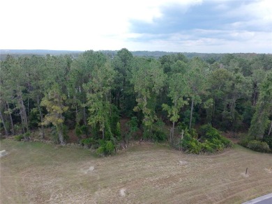 Seize the rare opportunity to build your dream home on one of on Southern Hills Plantation Club in Florida - for sale on GolfHomes.com, golf home, golf lot