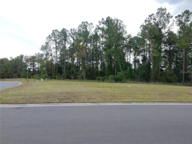 Seize the rare opportunity to build your dream home on one of on Southern Hills Plantation Club in Florida - for sale on GolfHomes.com, golf home, golf lot