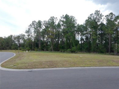 Seize the rare opportunity to build your dream home on one of on Southern Hills Plantation Club in Florida - for sale on GolfHomes.com, golf home, golf lot