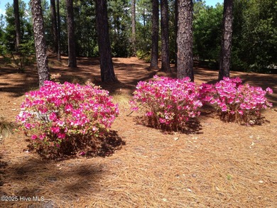 Welcome to 167 Hunter Trail! This immaculately maintained single on Talamore Golf Club in North Carolina - for sale on GolfHomes.com, golf home, golf lot