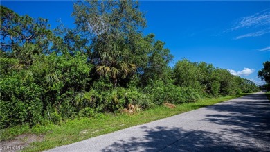 What a great opportunity to purchase 4 prime residential acres on Lehigh Resort Club in Florida - for sale on GolfHomes.com, golf home, golf lot