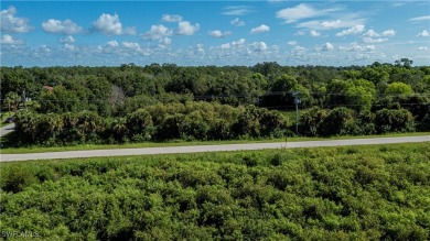 What a great opportunity to purchase 4 prime residential acres on Lehigh Resort Club in Florida - for sale on GolfHomes.com, golf home, golf lot
