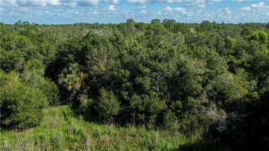 What a great opportunity to purchase 4 prime residential acres on Lehigh Resort Club in Florida - for sale on GolfHomes.com, golf home, golf lot