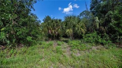 What a great opportunity to purchase 4 prime residential acres on Lehigh Resort Club in Florida - for sale on GolfHomes.com, golf home, golf lot