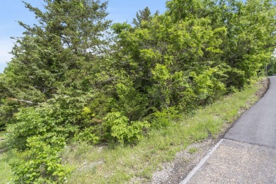 Live the Lake Life You've Always Dreamed Of!Why settle when you on Kimberling City Golf Club in Missouri - for sale on GolfHomes.com, golf home, golf lot