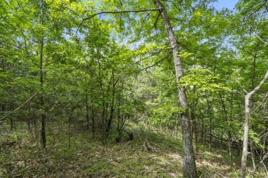 Live the Lake Life You've Always Dreamed Of!Why settle when you on Kimberling City Golf Club in Missouri - for sale on GolfHomes.com, golf home, golf lot
