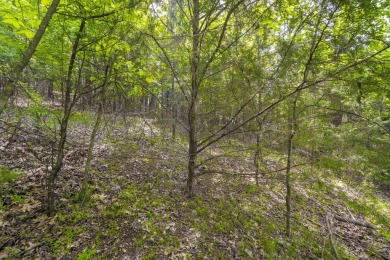 Live the Lake Life You've Always Dreamed Of!Why settle when you on Kimberling City Golf Club in Missouri - for sale on GolfHomes.com, golf home, golf lot