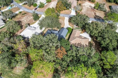 CHARM GALORE IN THIS OPEN CONCEPT, BEAUTIFULLY RENOVATED on Black Diamond Ranch Golf Course in Florida - for sale on GolfHomes.com, golf home, golf lot
