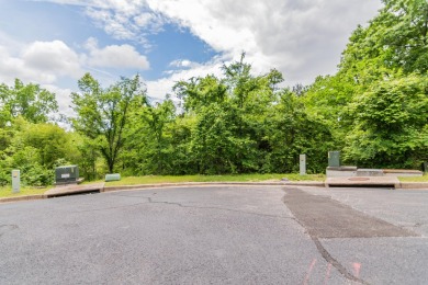Overlooking the 8th fairway of Branson Hills Golf Course, this on Payne Stewart Golf Club of Branson Hills - Front in Missouri - for sale on GolfHomes.com, golf home, golf lot