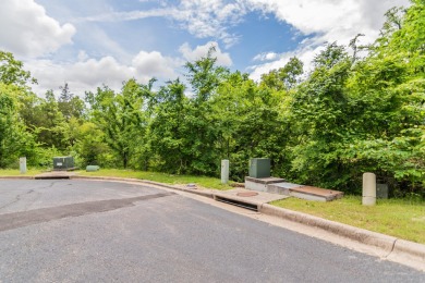 Overlooking the 8th fairway of Branson Hills Golf Course, this on Payne Stewart Golf Club of Branson Hills - Front in Missouri - for sale on GolfHomes.com, golf home, golf lot