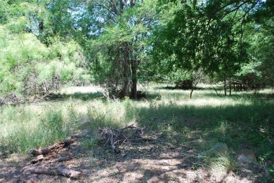 Nice corner lot with views of the #10 Hole and #11 T-Box of Old on White Bluff Resort - Old Course in Texas - for sale on GolfHomes.com, golf home, golf lot