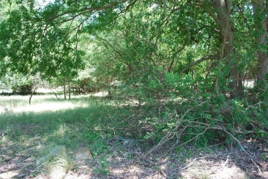 Nice corner lot with views of the #10 Hole and #11 T-Box of Old on White Bluff Resort - Old Course in Texas - for sale on GolfHomes.com, golf home, golf lot