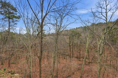 Discover comfort, style, & peaceful surroundings in this on Indian Hills Country Club in Arkansas - for sale on GolfHomes.com, golf home, golf lot