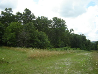 Very nice building lots (2) of 3 acres m/l each that are ready on Houston Municipal Golf Coure in Missouri - for sale on GolfHomes.com, golf home, golf lot