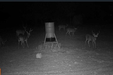 Nestled in a serene and picturesque location, this sprawling 12 on Decatur Golf and Country Club in Texas - for sale on GolfHomes.com, golf home, golf lot