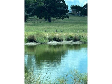 Nestled in a serene and picturesque location, this sprawling 11 on Decatur Golf and Country Club in Texas - for sale on GolfHomes.com, golf home, golf lot