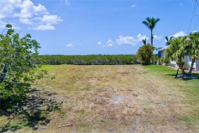 This is your chance to own your piece of paradise! Located in on Twin Isles Country Club in Florida - for sale on GolfHomes.com, golf home, golf lot