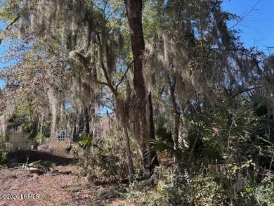 This beautiful building lot is located on Morgan River #4. Enjoy on Dataw Island Club in South Carolina - for sale on GolfHomes.com, golf home, golf lot