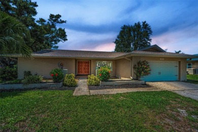 THIS HOUSE IS BRAND NEW ALL THE WAY THROUGH!   1.  ROOF NEW IN on Countryside Country Club in Florida - for sale on GolfHomes.com, golf home, golf lot