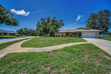 THIS HOUSE IS BRAND NEW ALL THE WAY THROUGH!   1.  ROOF NEW IN on Countryside Country Club in Florida - for sale on GolfHomes.com, golf home, golf lot