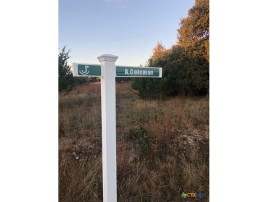 One of the few large lots left! Large old oak to sit under and on Vaaler Creek Golf Club in Texas - for sale on GolfHomes.com, golf home, golf lot
