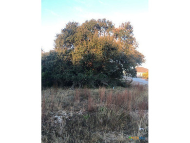 One of the few large lots left! Large old oak to sit under and on Vaaler Creek Golf Club in Texas - for sale on GolfHomes.com, golf home, golf lot