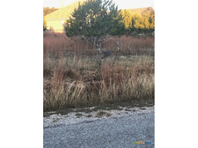 One of the few large lots left! Large old oak to sit under and on Vaaler Creek Golf Club in Texas - for sale on GolfHomes.com, golf home, golf lot