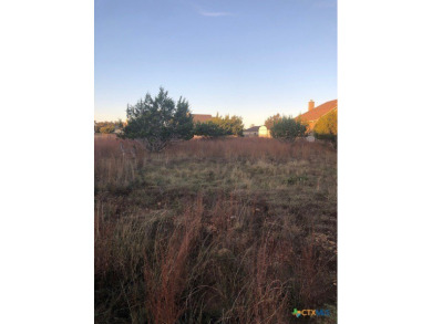 One of the few large lots left! Large old oak to sit under and on Vaaler Creek Golf Club in Texas - for sale on GolfHomes.com, golf home, golf lot