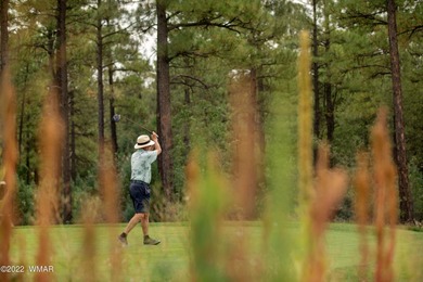 New Release in Torreon!!!! TORREON LAKES, come take a look at on Torreon Golf Club in Arizona - for sale on GolfHomes.com, golf home, golf lot
