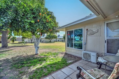 This welcoming ''Gemini'' Home features 2 Bedrooms, 2 Baths and on Sun City Lakes West and East in Arizona - for sale on GolfHomes.com, golf home, golf lot