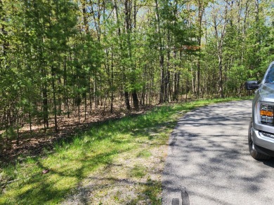 Golf Course right in front of you. Build your dream home or on Indian River Golf Club in Michigan - for sale on GolfHomes.com, golf home, golf lot