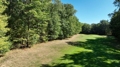 Golf Course right in front of you. Build your dream home or on Indian River Golf Club in Michigan - for sale on GolfHomes.com, golf home, golf lot