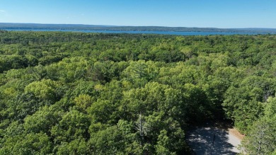 Golf Course right in front of you. Build your dream home or on Indian River Golf Club in Michigan - for sale on GolfHomes.com, golf home, golf lot