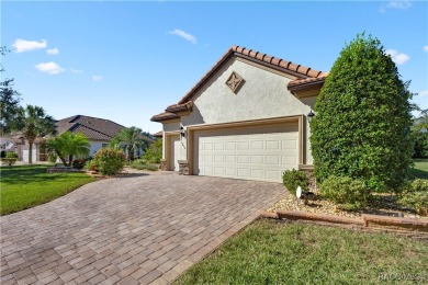 Incredible Savings on this Gorgeous Dali Style Home complete on Skyview At Terra Vista Golf and Country Club in Florida - for sale on GolfHomes.com, golf home, golf lot