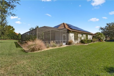 Incredible Savings on this Gorgeous Dali Style Home complete on Skyview At Terra Vista Golf and Country Club in Florida - for sale on GolfHomes.com, golf home, golf lot