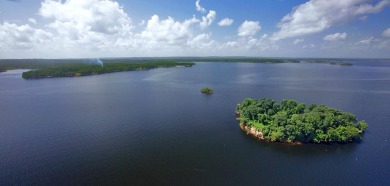 Two partially cleard and ready to build lots with access to on Rayburn Country Club in Texas - for sale on GolfHomes.com, golf home, golf lot
