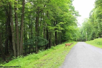 Looking for the perfect Lake House Location? This is it! This on Alpine Lake Resort in West Virginia - for sale on GolfHomes.com, golf home, golf lot