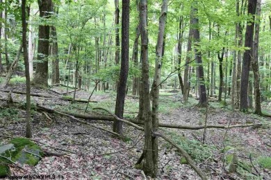 Looking for the perfect Lake House Location? This is it! This on Alpine Lake Resort in West Virginia - for sale on GolfHomes.com, golf home, golf lot