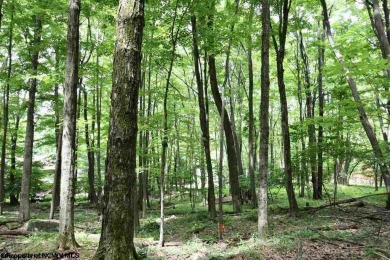 Looking for the perfect Lake House Location? This is it! This on Alpine Lake Resort in West Virginia - for sale on GolfHomes.com, golf home, golf lot